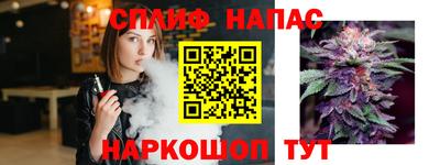 спиды Будённовск